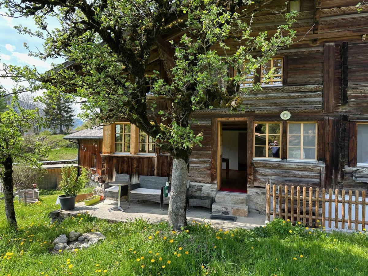 מירינגן Chalet Bruenig מראה חיצוני תמונה