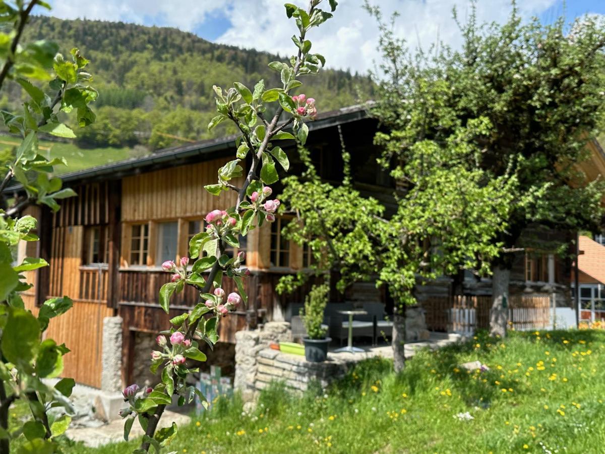 מירינגן Chalet Bruenig מראה חיצוני תמונה